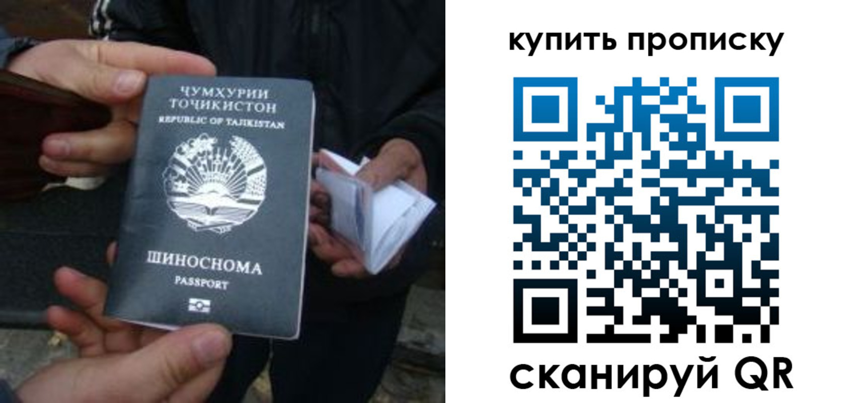 прописка гарантия в Хабаровске